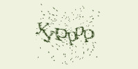 Защитный код